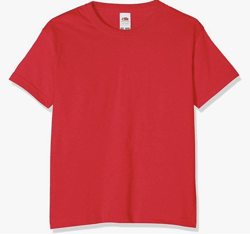 Personalised Kids Dinosaur Name T-shirt