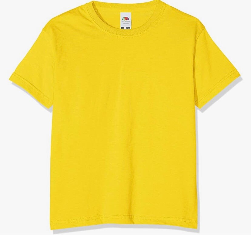 Personalised Kids Dinosaur Name T-shirt