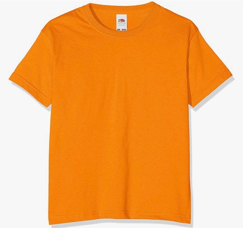 Personalised Kids Dinosaur Name T-shirt